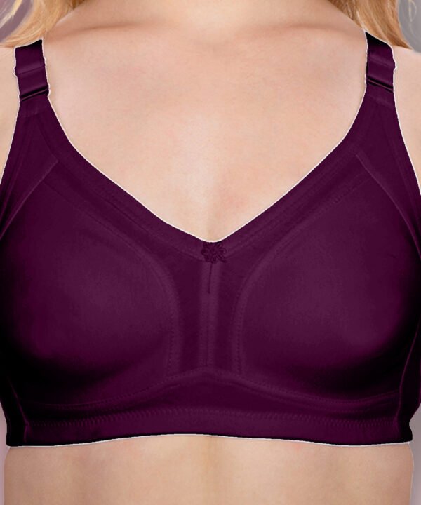 Purple bra for women full coverage